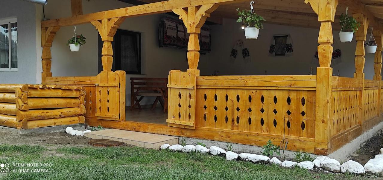 La Lenuta In Susani Breb Exterior photo